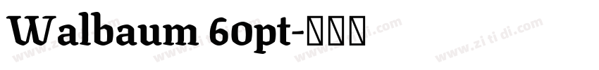 Walbaum 60pt字体转换